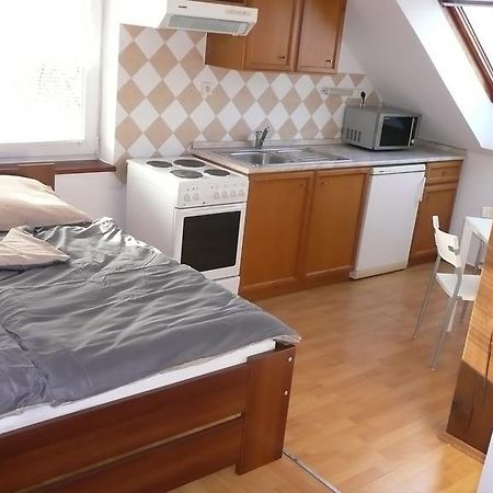 צ'סקה בודיוביצה Apartments U Cara חדר תמונה