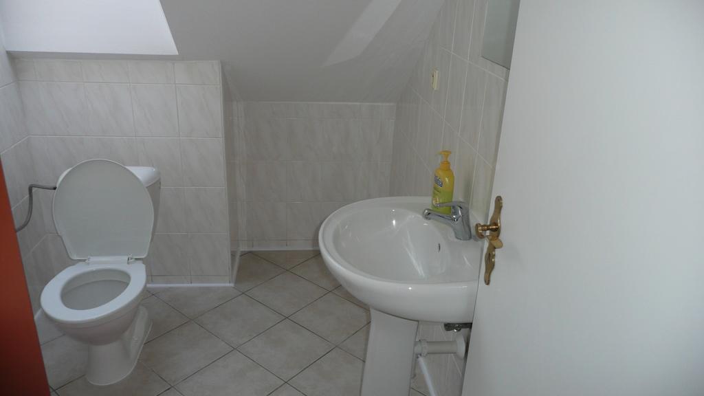 צ'סקה בודיוביצה Apartments U Cara חדר תמונה