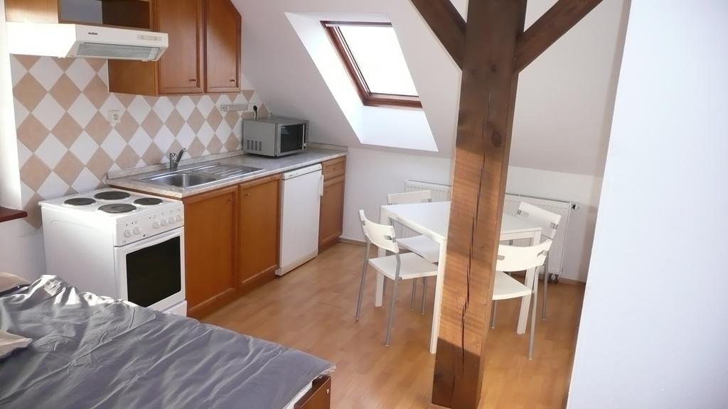 צ'סקה בודיוביצה Apartments U Cara חדר תמונה