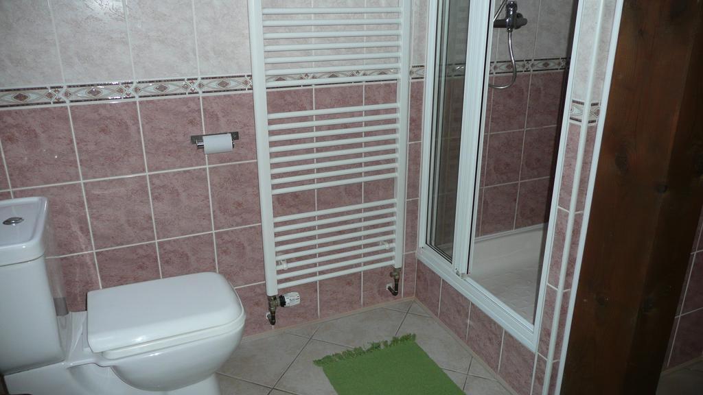 צ'סקה בודיוביצה Apartments U Cara חדר תמונה