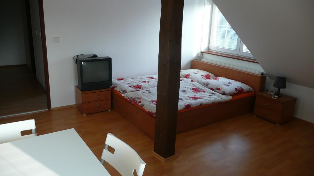 צ'סקה בודיוביצה Apartments U Cara חדר תמונה